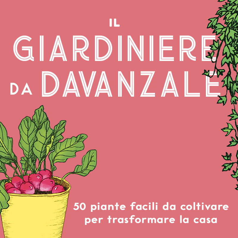 Giardiniere da davanzale